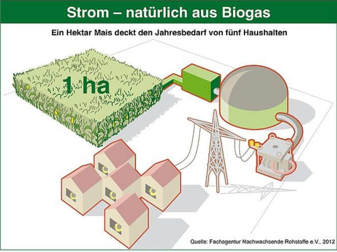 Energiebilanz von Biomasse