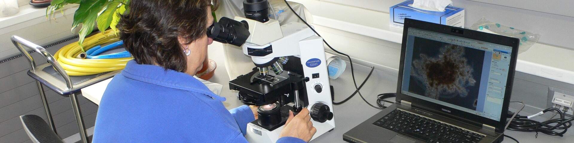 Abwasserreinigungsanlage Birs