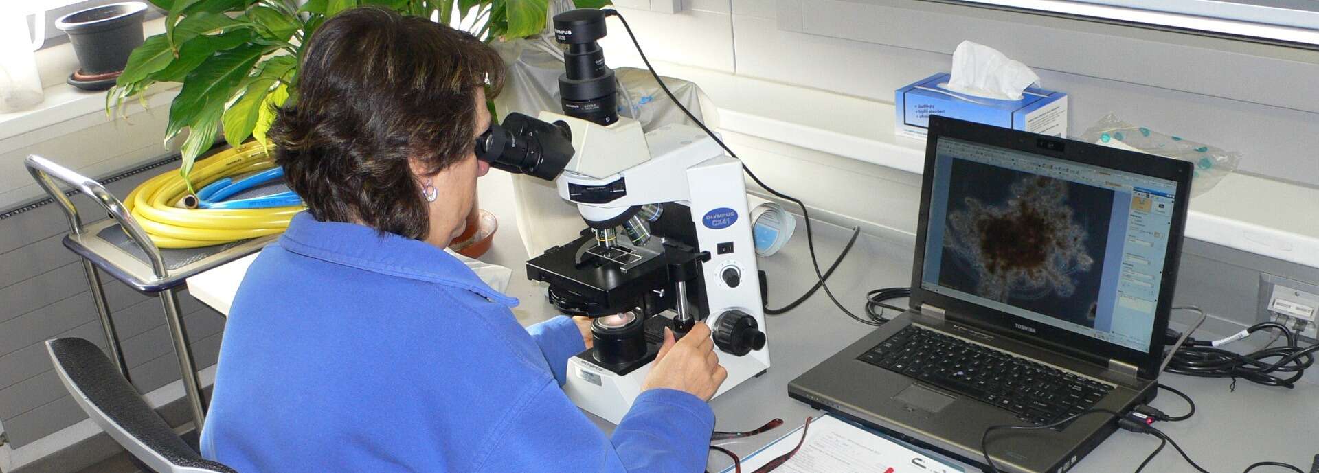 Abwasserreinigungsanlage Birs